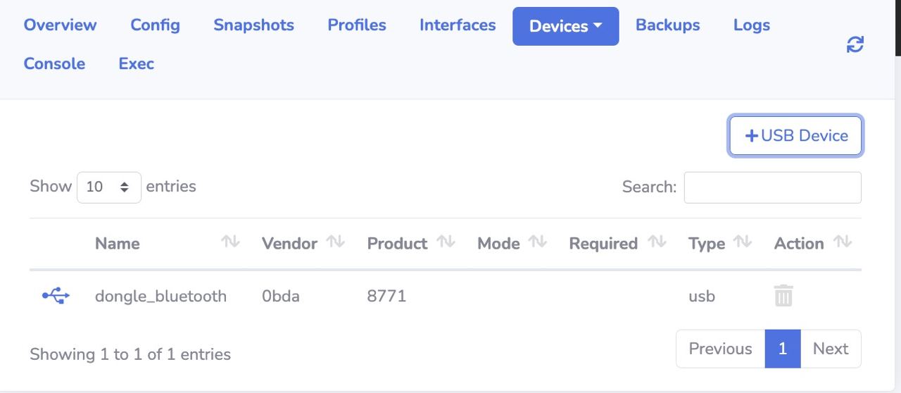 Add USB device to a VM using LXDDashboard 